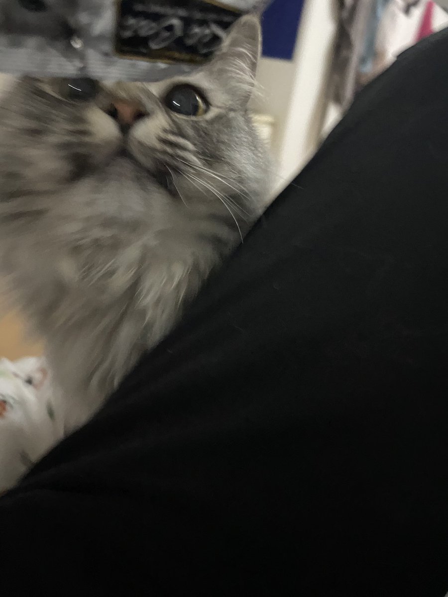yoleow's tweet photo. Bored 👍🏻 https://t.co/u56yIhJvFu