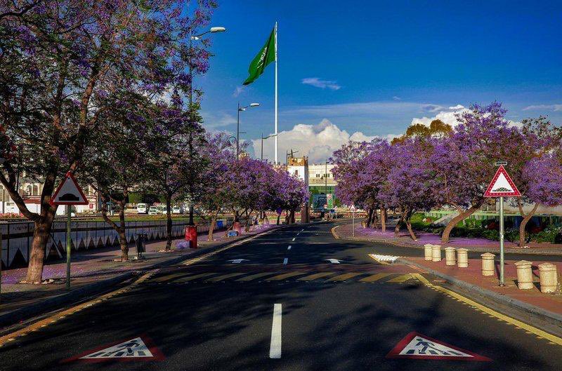 SaudiProject's tweet photo. الهيئة العامة للنقل توقع أولى عقود الامتياز لنقل الركاب بالحافلات بين المدن في السعودية، وذلك في 200 مدينة ومحافظة من خلال 76 مسارًا للحافلات https://t.co/gZg1jy4f3o