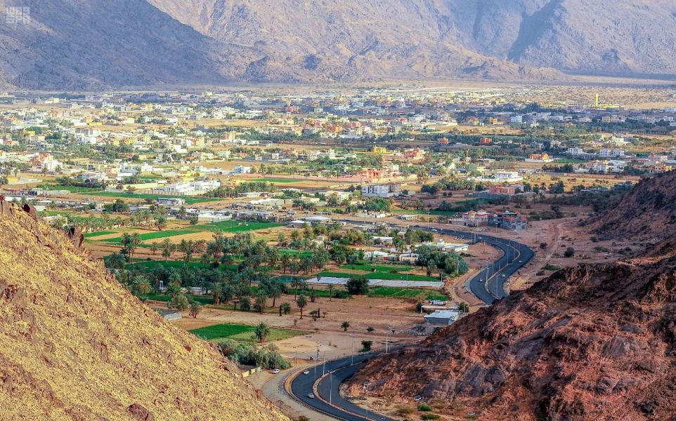 SaudiProject's tweet photo. الهيئة العامة للنقل توقع أولى عقود الامتياز لنقل الركاب بالحافلات بين المدن في السعودية، وذلك في 200 مدينة ومحافظة من خلال 76 مسارًا للحافلات https://t.co/gZg1jy4f3o