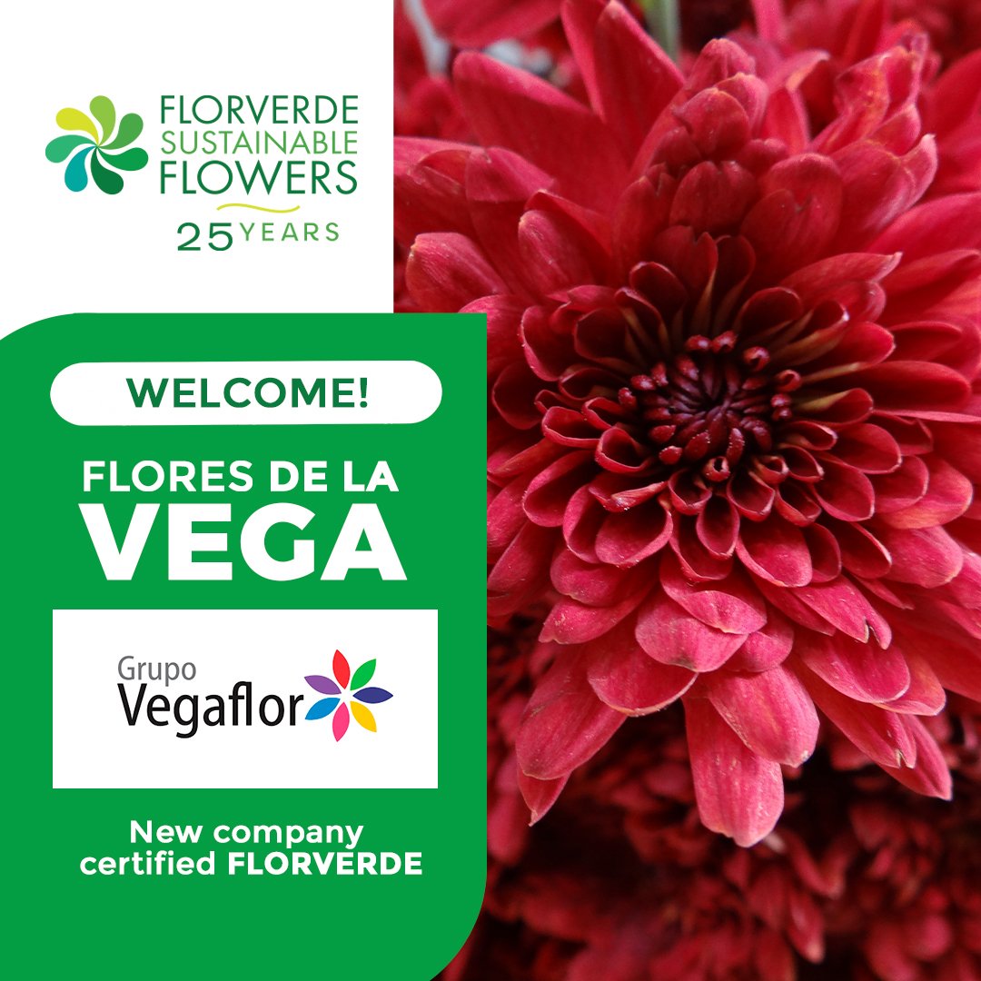 Florverde® tweet media