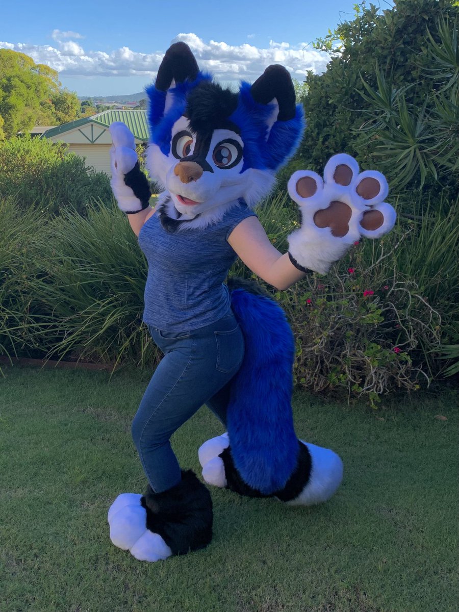 LupeSuits's tweet photo. Thene Fox says hello! 💙
*Plantigrade body not pictured. https://t.co/AhtlRvT5TQ