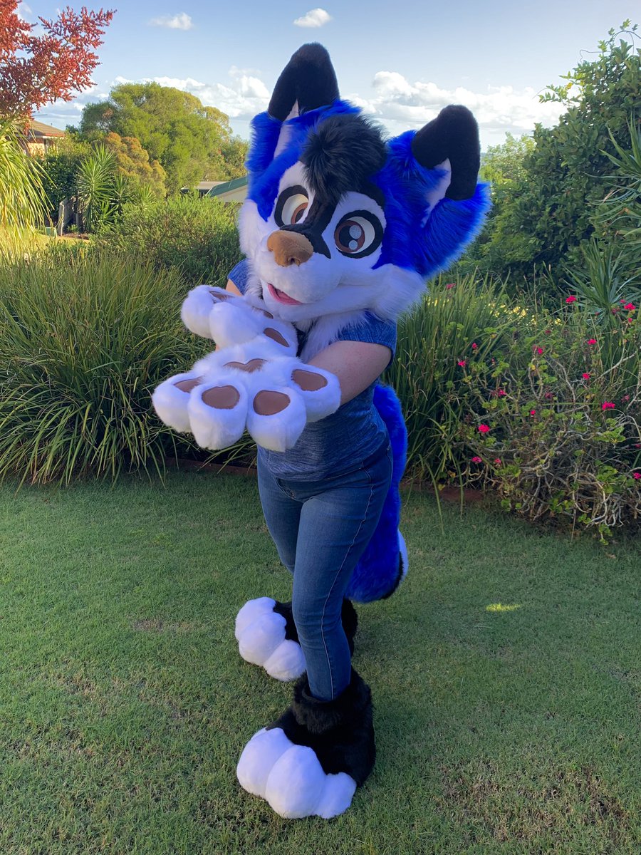 LupeSuits's tweet photo. Thene Fox says hello! 💙
*Plantigrade body not pictured. https://t.co/AhtlRvT5TQ