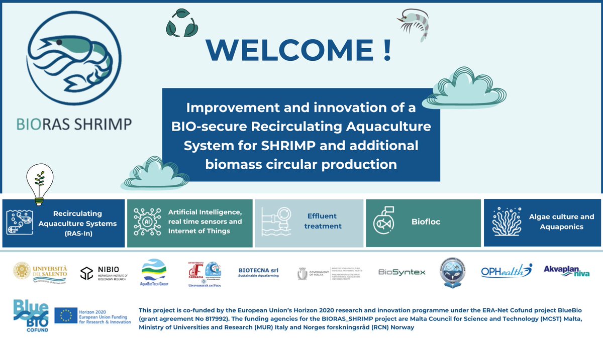 BIORAS_SHRIMP's tweet photo. 📢 Welcome to the new @BlueBioCOFUND  BIORAS_SHRIMP Project ! 

🦐 BIORAS_SHRIMP project aims to develop, improve and innovate a bio-secure land based sustainable shrimp culture model 🌊 

🛎 Stay tuned for more news!  

#bluebioeconomy #bluebiocofund #bluebio https://t.co/vfwpe8etw0