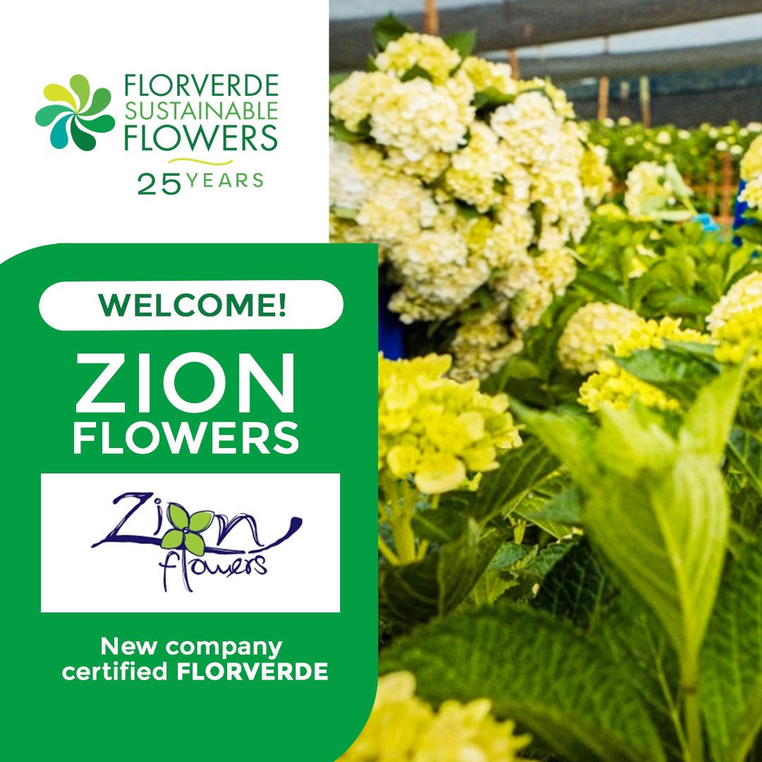 Florverde® tweet media