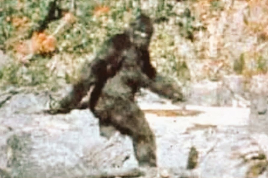 CryptidbitsWithGeneraltidbits tweet media