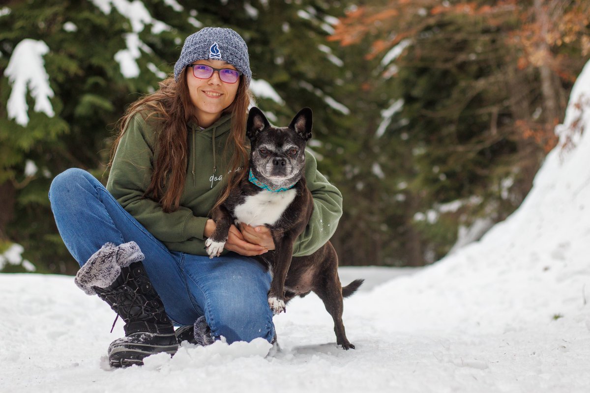 roamwiththem tweet media