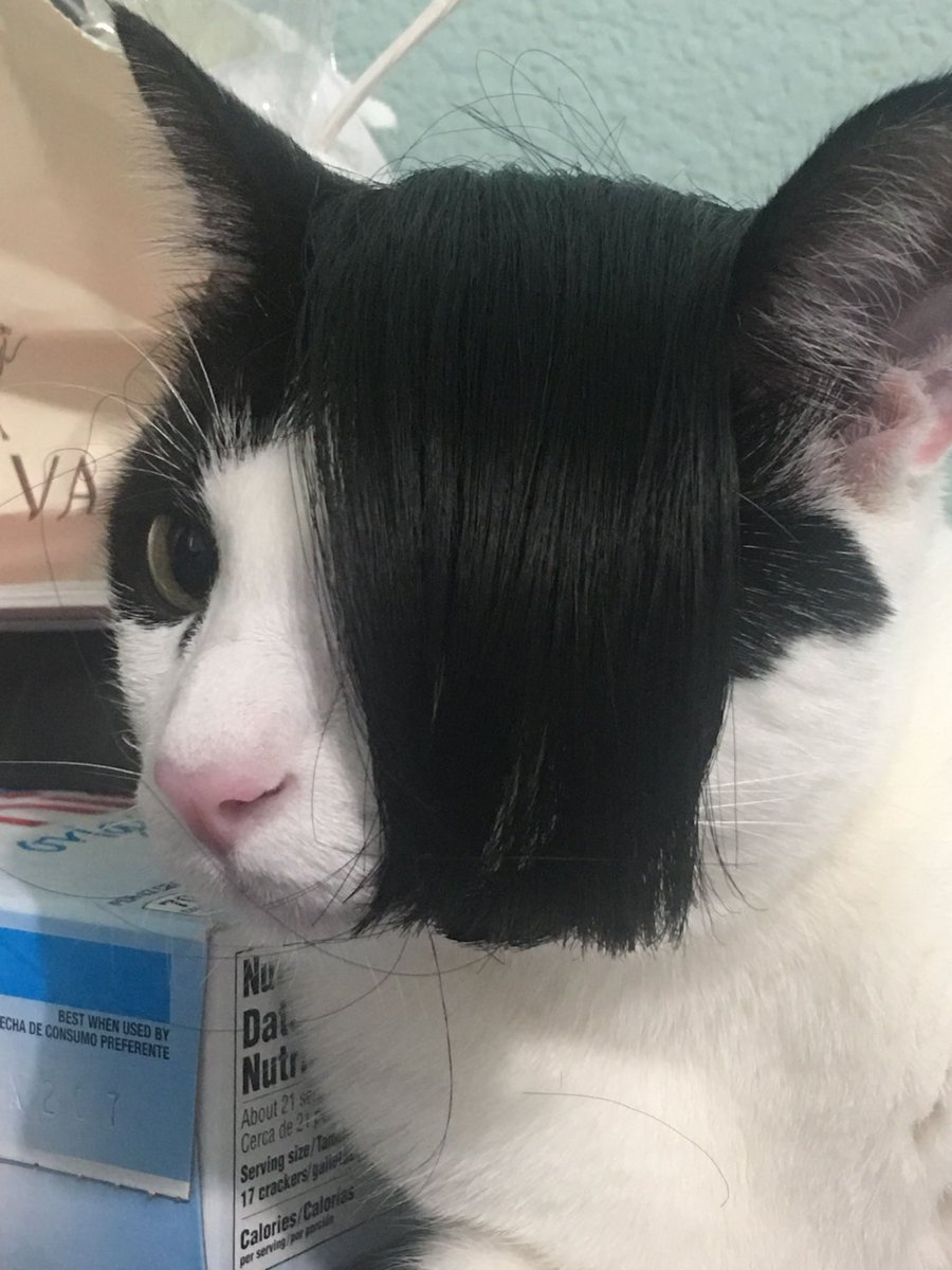 SavTheSiren's tweet photo. Me at work listening to fall out boy in my headphones https://t.co/N4DByKLffi