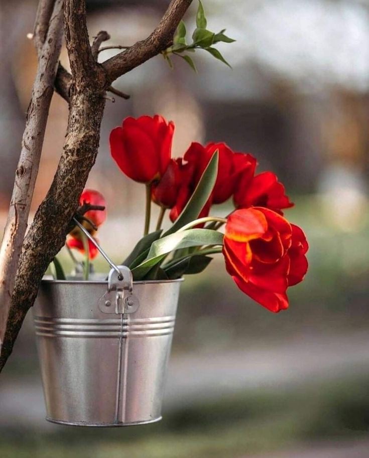 "Indeed cultivation and growth takes shape in a soft, even land and not in a rocky (barren) land. Likewise, wisdom grows and develops in a humble heart and not in a proud, vain and arrogant heart."

#ImamKazim
