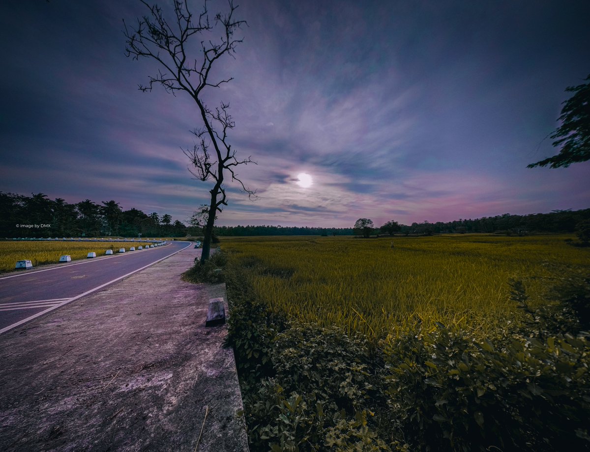 Dmxddrxx's tweet photo. On a purple evening 💜

#evening  #PurpleSky  #treeshadows #deadtree
#Bridge  #paddyfield #Twilight  #road #clouds https://t.co/OTOmZXJsk9