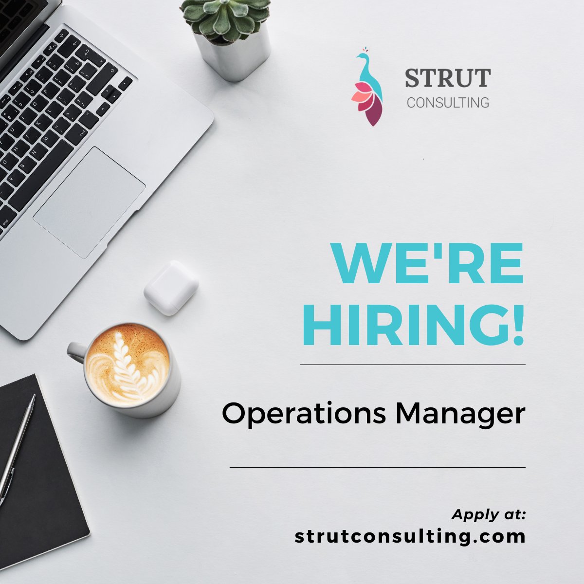 StrutLLC's tweet photo. Strut is the only consulting firm focused solely on providing exceptional fund operations support to today’s emerging and established #venturecapital firms. We are hiring an Operations Manager to join our dream team—could this be you? 😊 Apply here: https://t.co/u3nwMSzWsS https://t.co/0NJslDIKf4