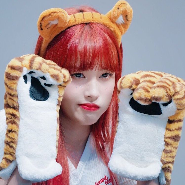 billliestayc's tweet photo. HAPPY SIYOON DAY !!! 
#시윤이생일_기분좋아_구름구름
#BabyTiger_SIYOONDAY https://t.co/oDA81hUSBX