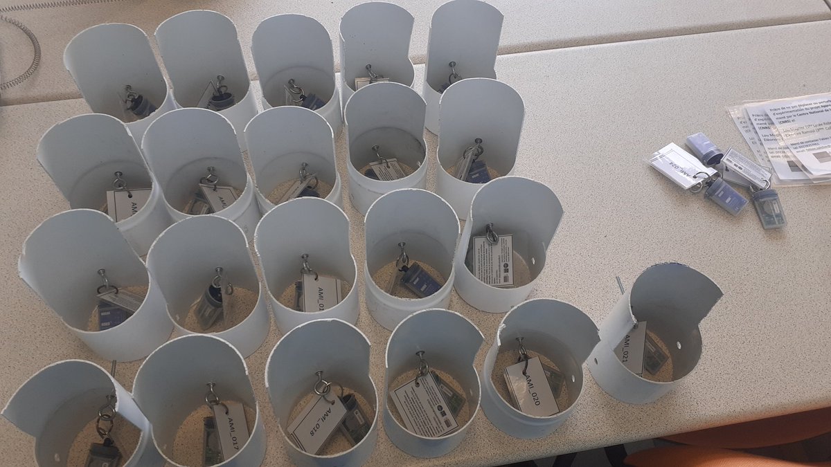 Aujourd'hui nos apprentis chercheurs ont bien travaillé! 💪construction des abris🛠🪚 programmation des capteurs 🌡💻 et installation 🪜🌳 sur des arbres depuis le centre ville <a href="/AmiensMetropole/">Amiens Métropole - Ville d’Amiens</a> vers la campagne. #microclimat 🌳 dans un contexte d'îlot de chaleur urbain #UHI