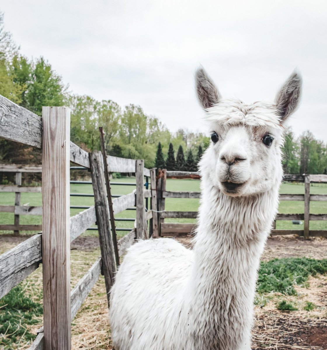 Naturally McHenry County tweet media