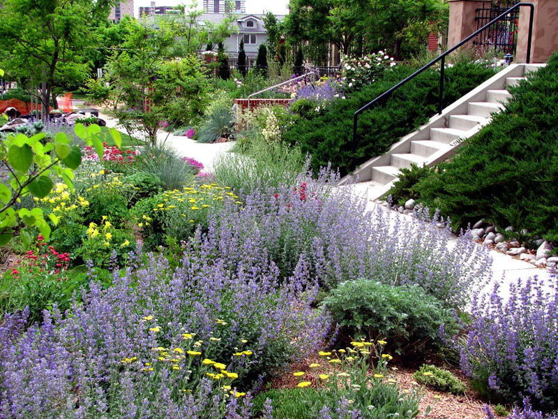 Thunderbird Design tweet media