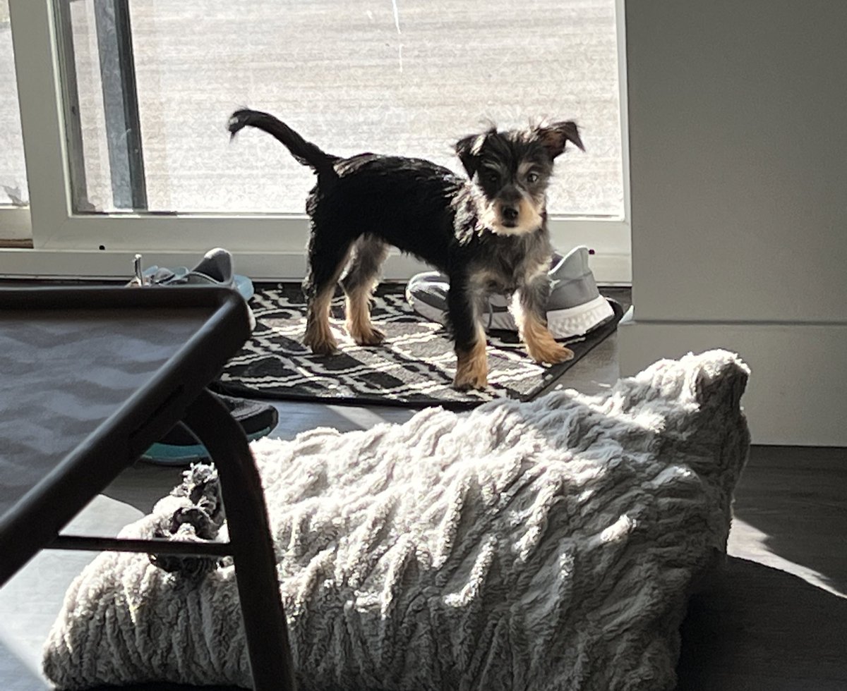 Baby got a haircut 🥹