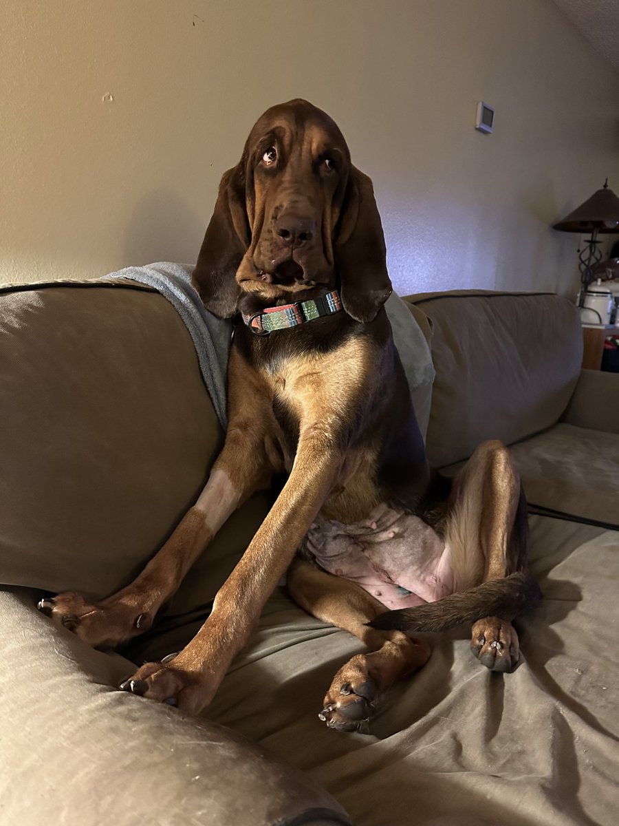 Goddess Tall Tasha 🔥 on Twitter "Happy valentines 😈 This week I won’t