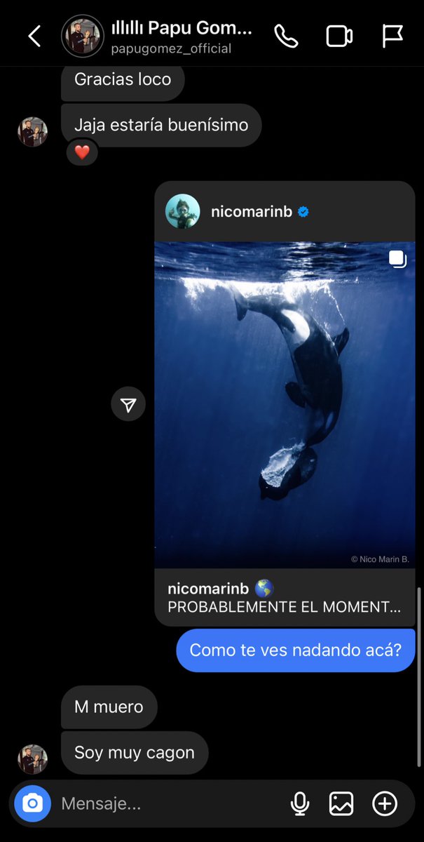 😱‼️NO ES UN DÍA CUALQUIERA. Me desperté con un mensaje de un campeón del mundo, EL PAPU GOMEZ. Hoy podes ayudar para que venga. Lo invité a nadar con orcas y dice que le da miedo ¿Cuantos likes y lo traemos? <a href="/aguerosergiokun/">Sergio Kun Aguero</a> ayudame a que venga.