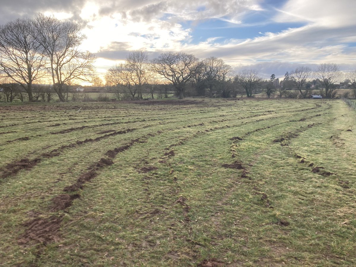 Mark Lea tweet media