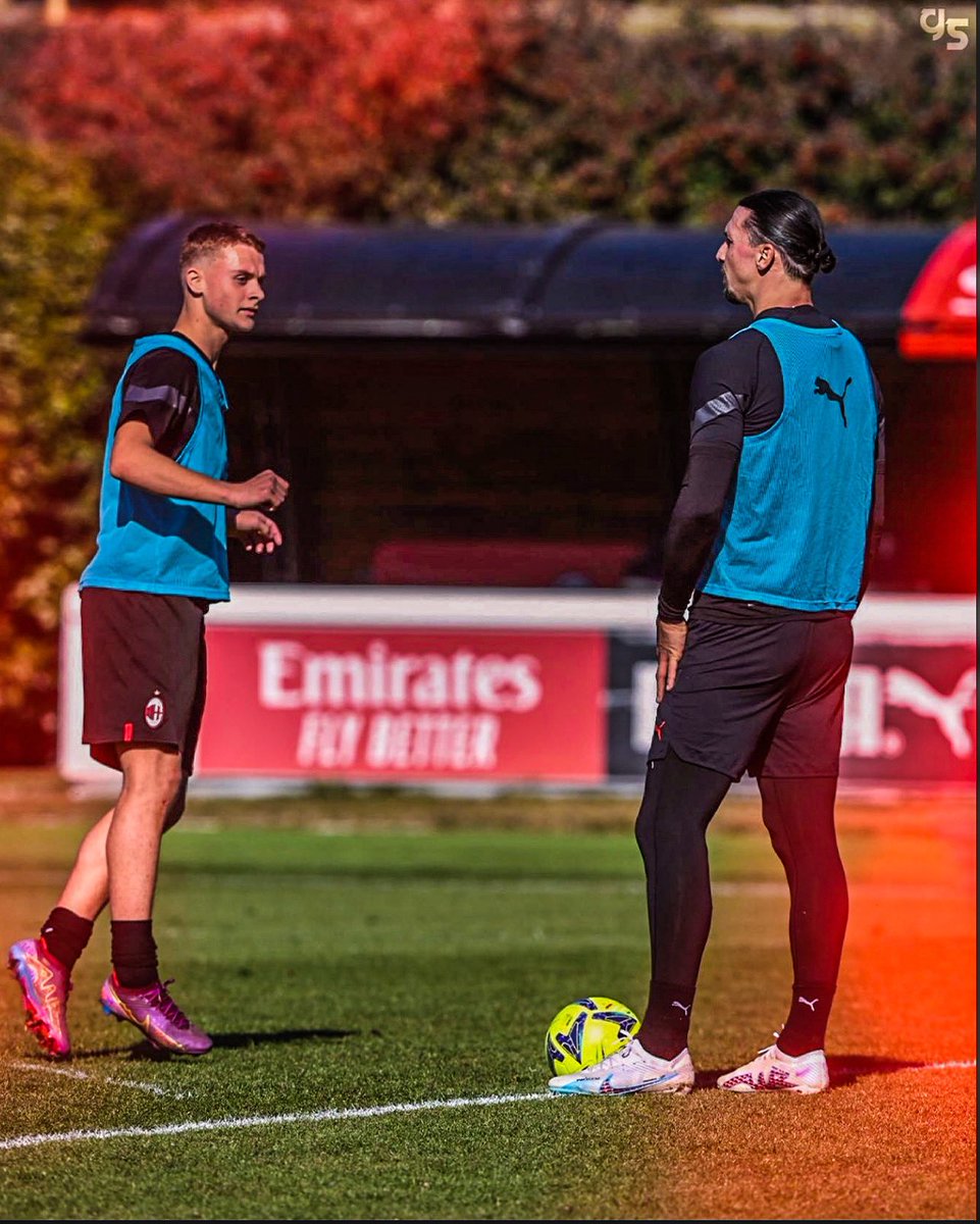 prettyboyTaz on Twitter "RT 🦁⚽️ Zlatan Ibrahimović (1981