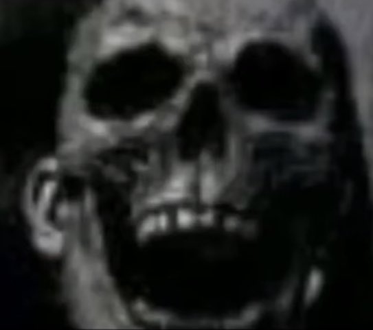 TheRealJackaroo tweet media