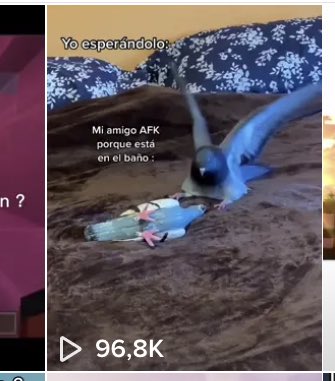 LNGESTUDIOS's tweet photo. Que tiemblen sus streamers favoritos que nos hacemos vírales en el tistos 🤭🫶🏻 https://t.co/SwXFYCp6pZ