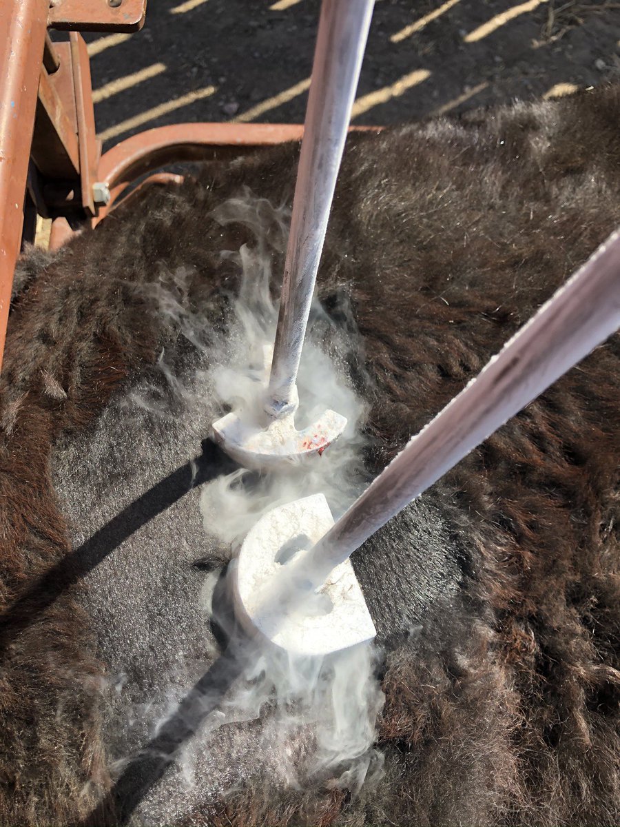 Craig Olson tweet media