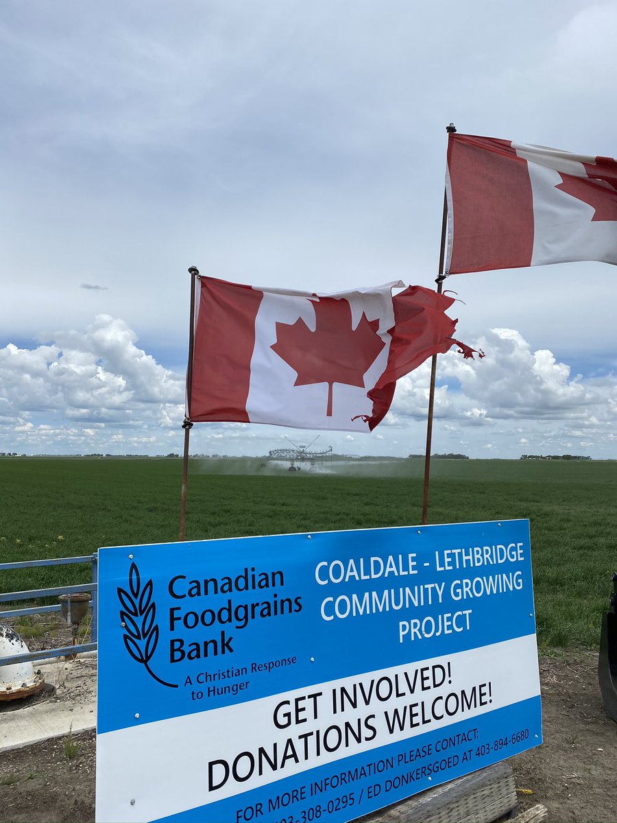 Craig Olson tweet media