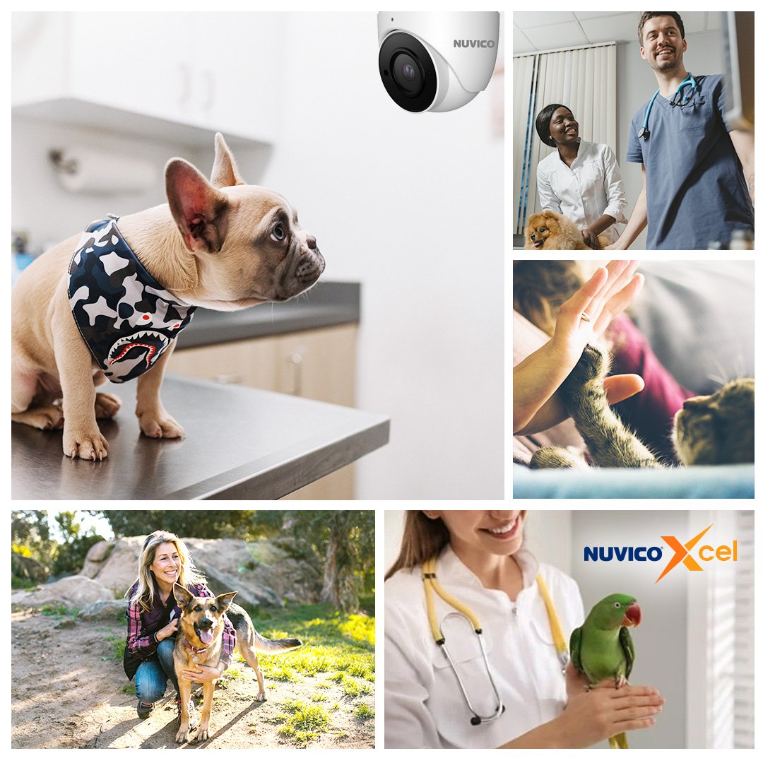 Nuvico's tweet image. Nuvico Xcel series #videosurveillance systems are trusted by Animal Hospitals across-the-globe.🐶

#Nuvico Xcel series #surveillancesystems are installed at #AnimalHospitals to keep pets safe &amp;amp; prevent theft of medical equipment and supplies.

Visit nuvico.com today!