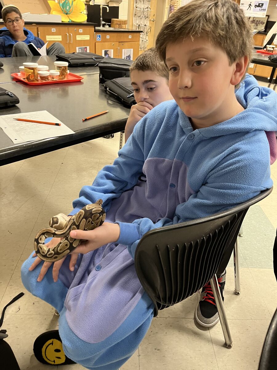 rgreiner206's tweet photo. Mr. Mann's class pet John Cena just got FED! We are getting prepared for March Mammal Madness Tournament!!!! #ZooBot4Life @ZooBotLMS @zoobotlife @Coach_Mann_XC @LongleafMiddle @MMMletsgo https://t.co/YQOOgk2uSr