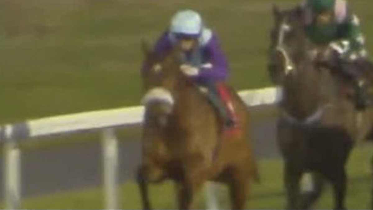 shugiehughie's tweet image. 3yo 6f Winner Desert Cop by Oasis Dream x Speed Cop ( Cadeaux Genereux ) . Has two full brothers including Desert Law who won the Epsom Dash . Main attribute for me though was that they ran 94 times between them . #Kempton #AndrewBalding #DavidProbert