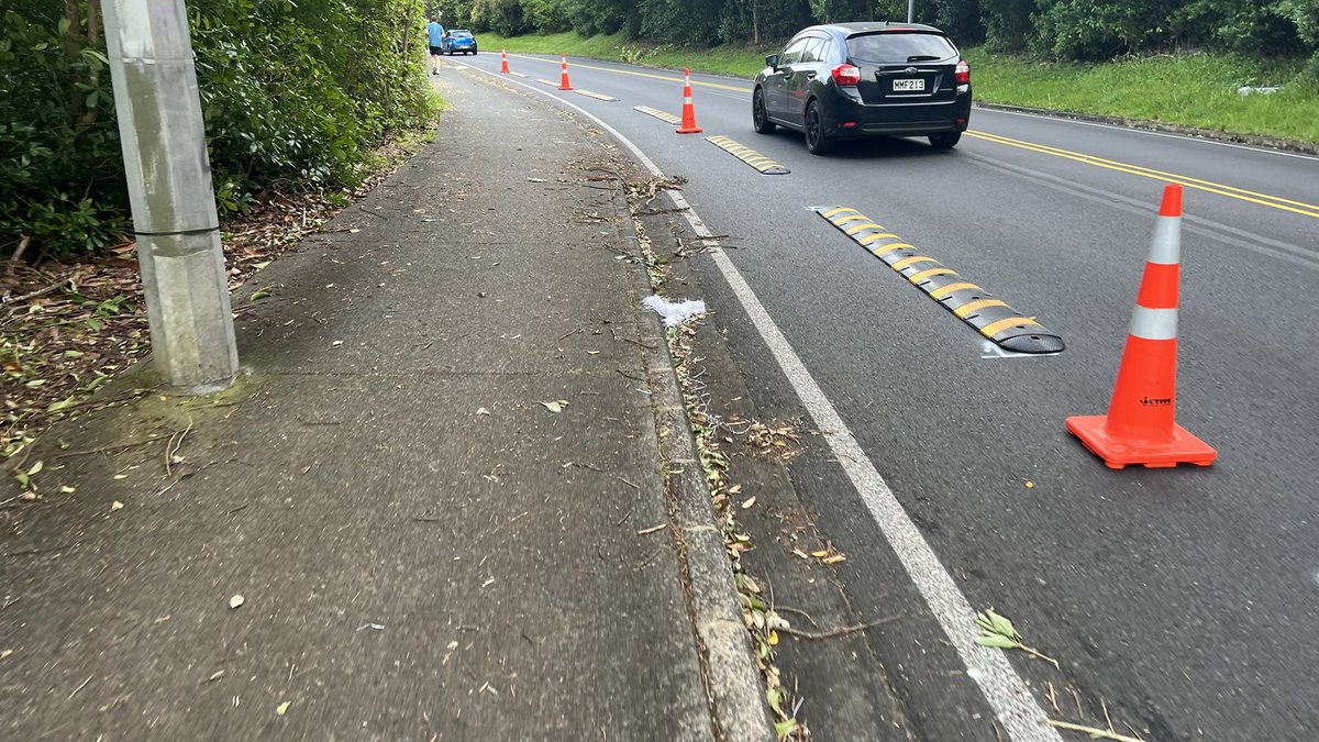 Hey <a href="/BikeAKL/">Bike Auckland</a> is this a cycle lane appearing on Ngapipi rd? 😱