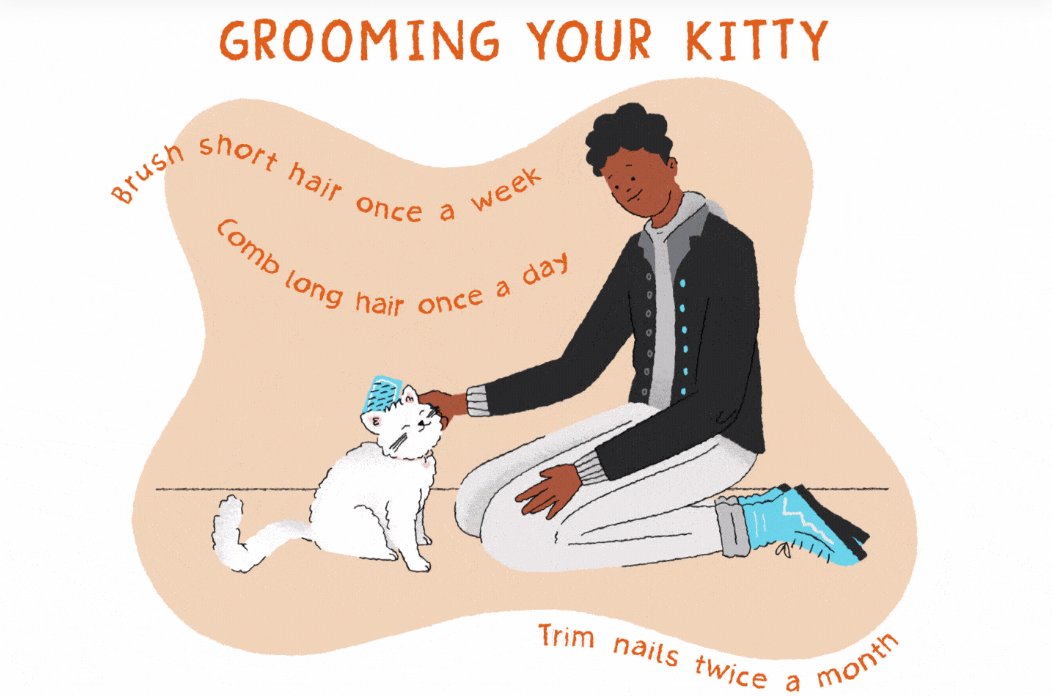 Grooming your pets is so important for their health, hygiene, and happiness! 

#grooming #pets #groomingpets #pethealth #pethygiene #pethappiness #health