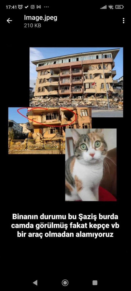 haysevder's tweet photo. GÜNCELLEME: Eve bakıldı, evde yok. BULAN ya da GÖREN lütfen sahibine ulaşsın, kavuştursun 🙏🐾 iletişim: 0535 892 43 33 #antakya #kayıpdepremzede https://t.co/AvncJ44EUG