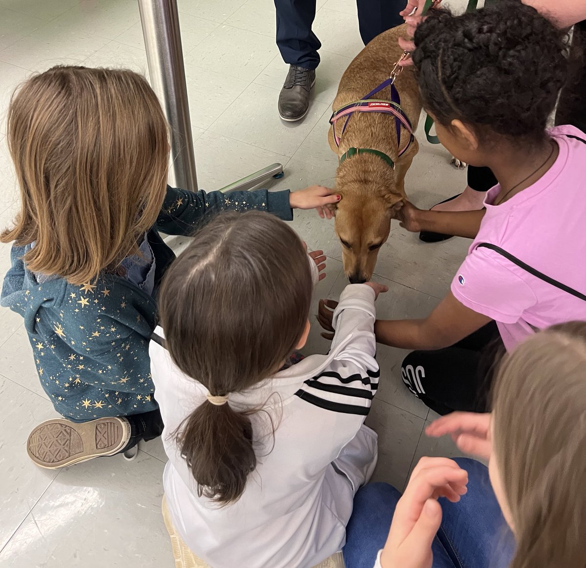 SMuehleman's tweet photo. STLP Service Projects are even Sweeter when Sugar comes to class. Thanks @w_york for showing the impact adopting from the animal shelter can have on your life. A great experience for their presentation. @mechelle428 @murrayschools  @kystlp https://t.co/Jxbvf8b9Li