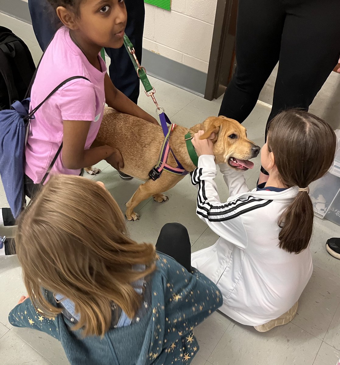 SMuehleman's tweet photo. STLP Service Projects are even Sweeter when Sugar comes to class. Thanks @w_york for showing the impact adopting from the animal shelter can have on your life. A great experience for their presentation. @mechelle428 @murrayschools  @kystlp https://t.co/Jxbvf8b9Li