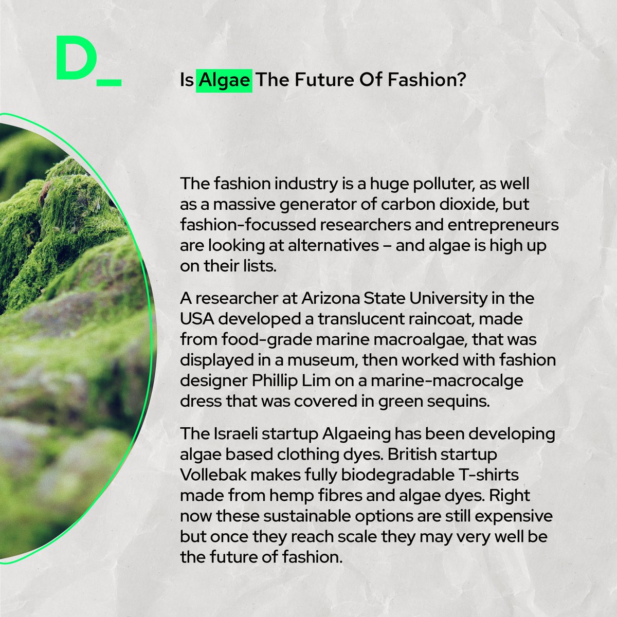 Is algae the future of fashion?

#sustainability #biodegradable