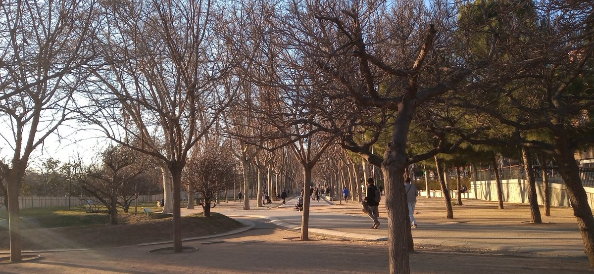 AdrianBegona's tweet photo. ¿Quiere el Ayuntamiento de Madrid talar «el monumental paseo de los plátanos», según la placa grabada por el propio Ayuntamiento de Madrid?

«...una avenida de fresca sombra en verano, dorada y llena de hojarasca en otoño...»

@pparganzuela @Cayehdelariva @AlmeidaPP_ https://t.co/k2ExaCsWJ0