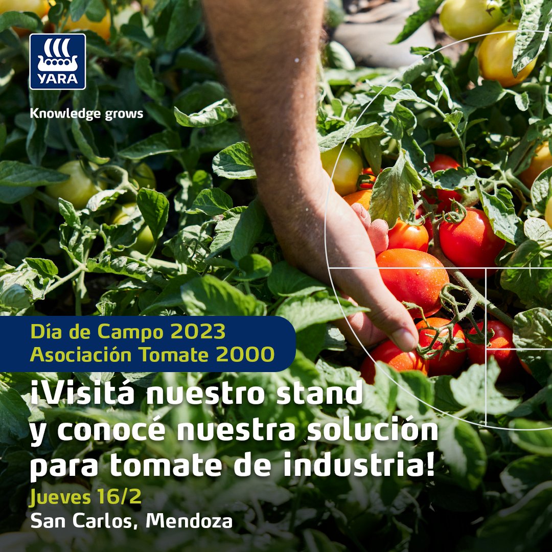 Mañana participaremos del #DiadeCampo2023, organizado por la Asociación TOMATE 2000 🍅

Te esperamos en nuestro stand para contarte sobre nuestras soluciones para tomate de industria.

📍 Jueves 16 de Febrero, 9 hs 
EEA INTA, La Consulta (San Carlos, Mendoza)

#nutricionvegetal
