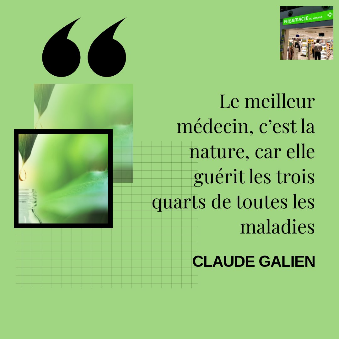 PharmacieVoyage's tweet image. {Citation du jour} 😎

Quand la #nature fait bien les choses...🌿

#médecinedouce #médecinenaturelle