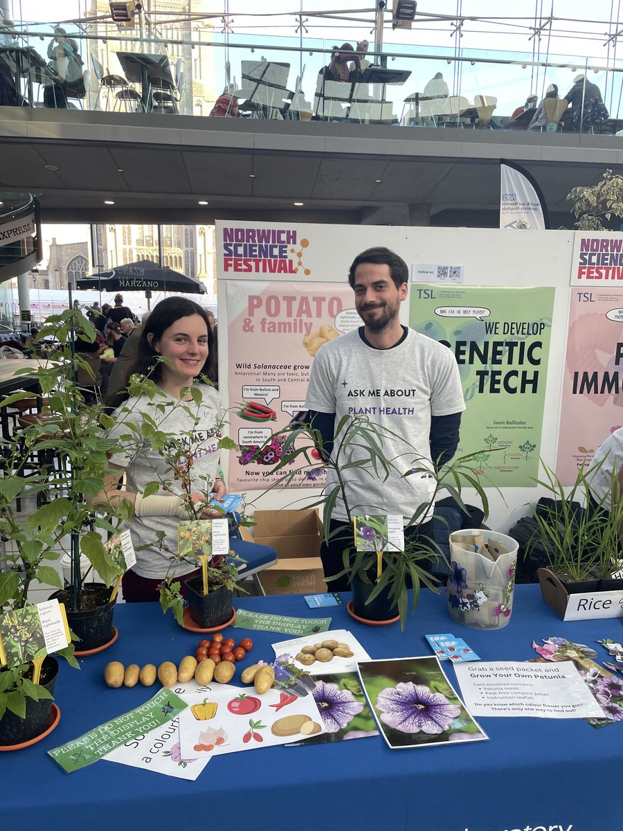 The Sainsbury Laboratory (@thesainsburylab) on Twitter photo The last hour to meet potato relatives and grow your own Petunia! 🌸 <a href="/NorwichSciFest/">Norwich Science Festival</a> #NorwichSciFest The last hour to meet potato relatives and grow your own Petunia! 🌸 <a href="/NorwichSciFest/">Norwich Science Festival</a> #NorwichSciFest