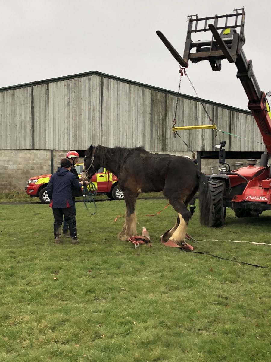 Rob Cude (@robcude) on Twitter photo Amazing effort by crews from Holsworthy, Barnstaple and Special Ops rescuing a 19 hand shire horse. Definitely the biggest horse I’ve been involved in rescuing, <a href="/DSFireUpdates/">Devon and Somerset Fire and Rescue Service</a> <a href="/BarnstapleFire/">BarnstapleFireStation</a> great outcome for all, he couldn’t wait to eat grass again. 😀 Amazing effort by crews from Holsworthy, Barnstaple and Special Ops rescuing a 19 hand shire horse. Definitely the biggest horse I’ve been involved in rescuing, <a href="/DSFireUpdates/">Devon and Somerset Fire and Rescue Service</a> <a href="/BarnstapleFire/">BarnstapleFireStation</a> great outcome for all, he couldn’t wait to eat grass again. 😀