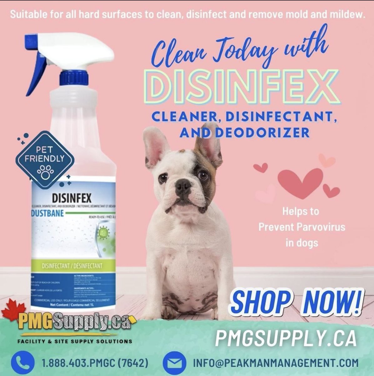 DID YOU KNOW?
PMG Supply has a product to prevent and protect your canine family members from Parvo. 
Disinfex – RTU Disinfectant. Complete disinfection in just 5 minutes. 

🛒pmgsupply.ca/product/disinf…

#caninefamily #parvo #disinfex #protection #prevention #pmgsupply #peakman