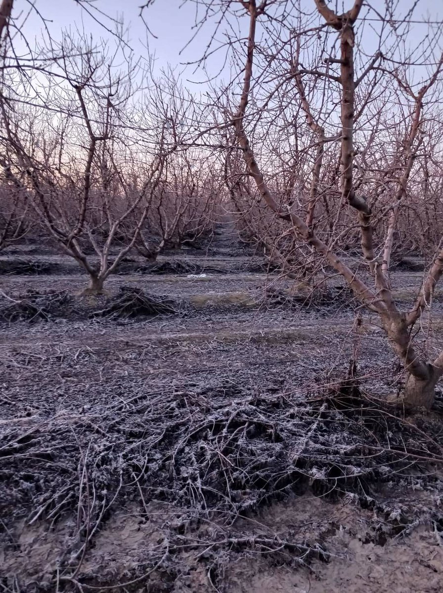 United Farm Workers tweet media