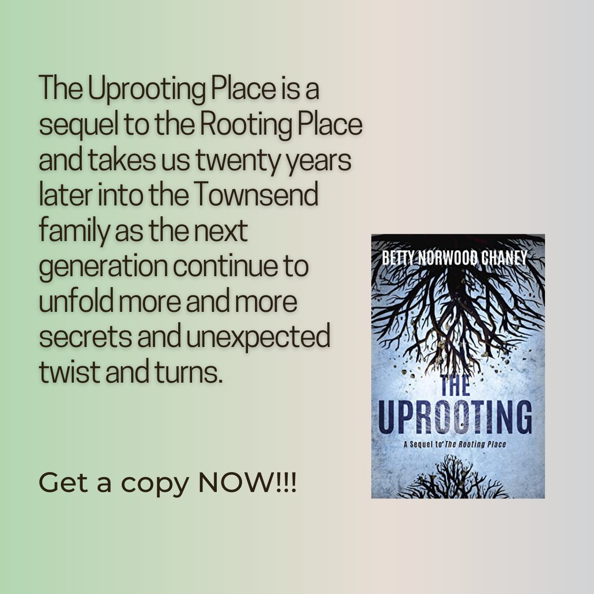 Betty Chaney tweet media