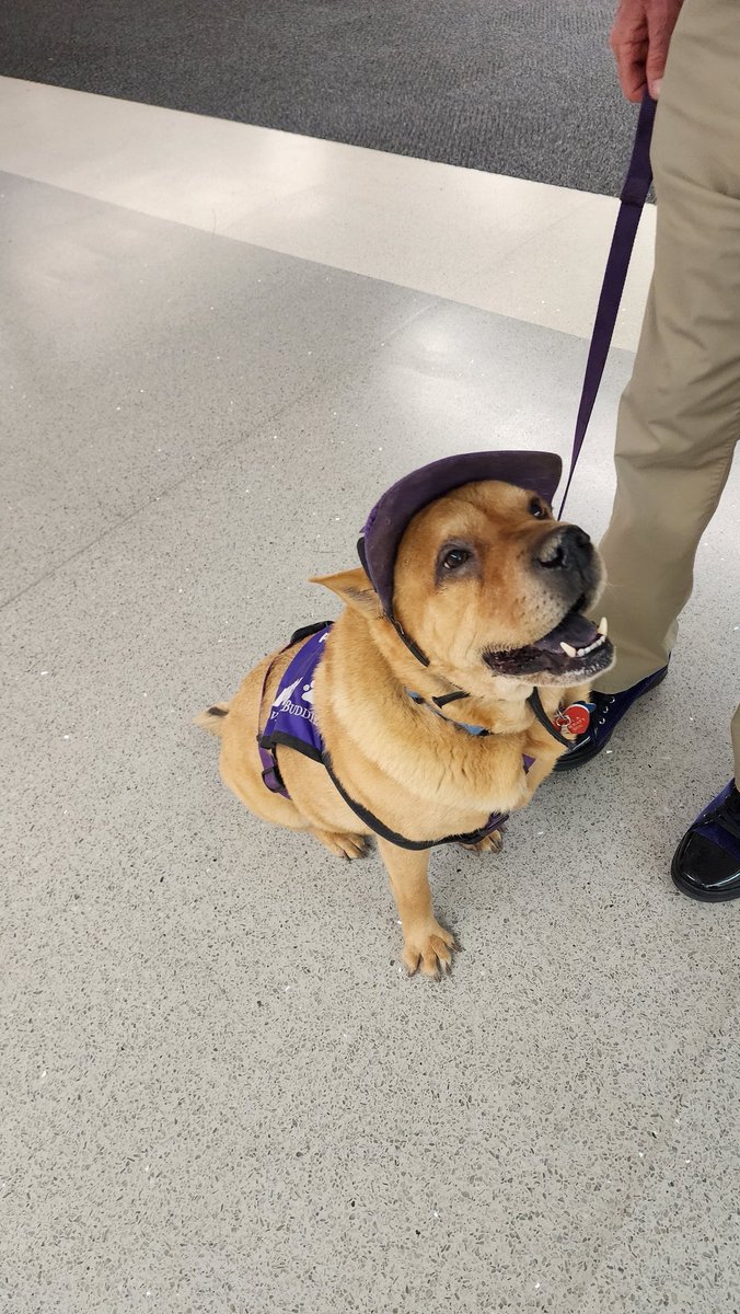 Julie (Olivarri) Braun tweet media