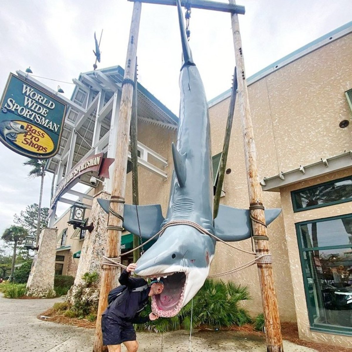 destincommons's tweet photo. Another shark sighting in Destin. ๐ฆ #DestinCommons https://t.co/E8LoCFuBP5