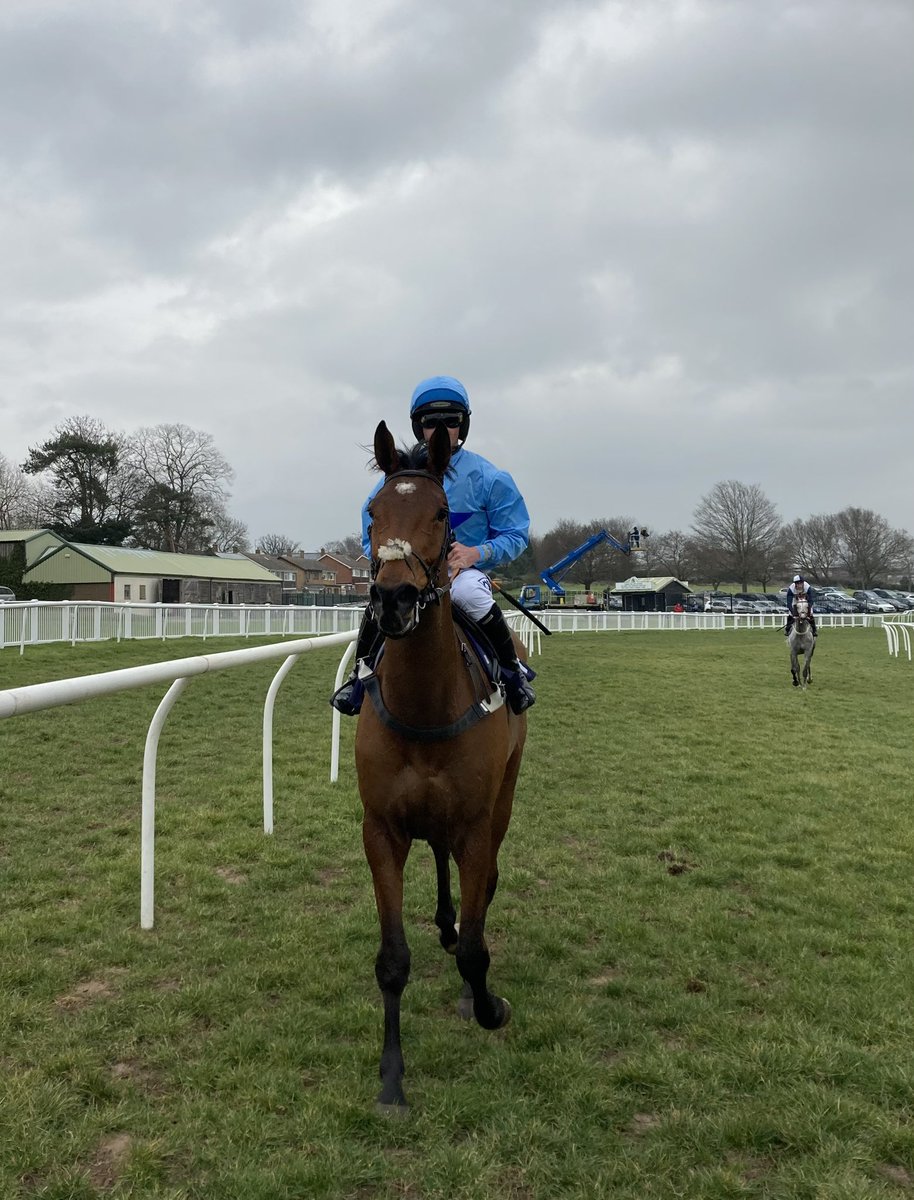 k_woollacott's tweet photo. Great to win with Stellar Stream today @HerefordRaces @Ben_Godfrey24. We were once told he would never stick training with his confirmation, delighted he continues to prove them wrong ๐ #StellarStream #winner https://t.co/RTSBFUYGpX