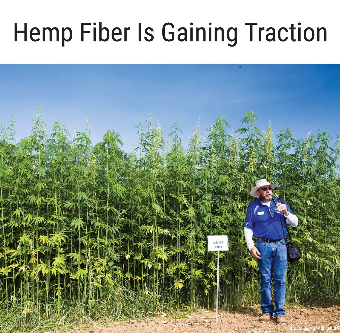 Let's Talk Hemp tweet media
