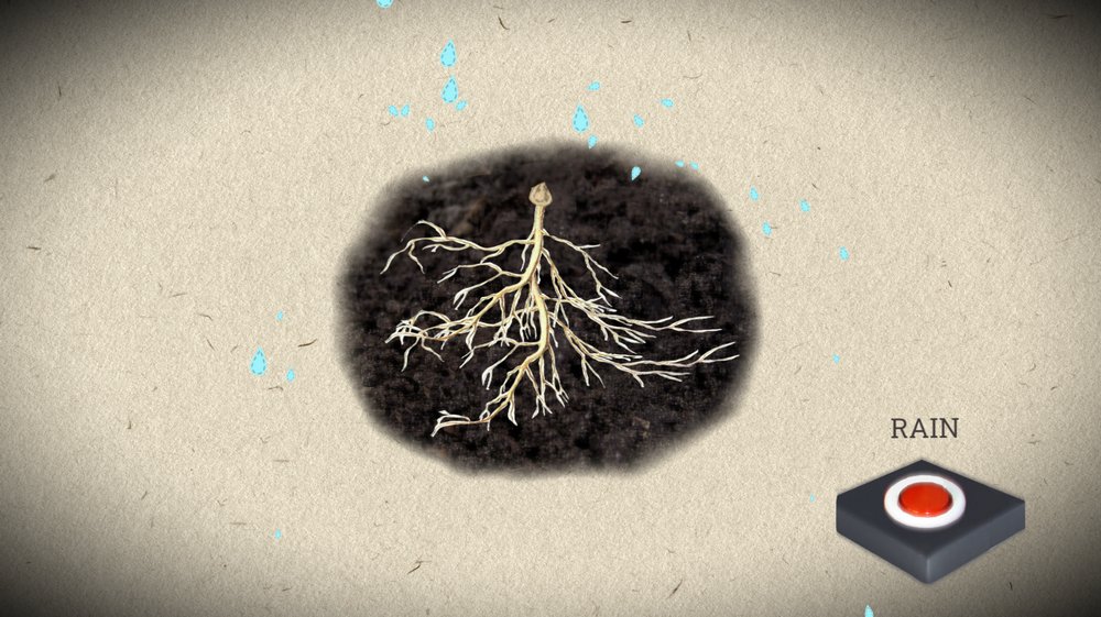 The Sheep's Meow tweet media