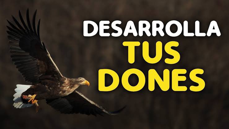 ChristianDaGova's tweet photo. La #sociedad tiene arraigado el #paradigma de escases, miedo, falta, explotación y sobrevivencia, pero debemos entender que no nos falta nada! Somos #ricos en nuestros #dones y eso es lo que debemos explotar, desarrollar y compartir. 

¿Que dones y #habilidades tienes? https://t.co/cZYojbyLyG
